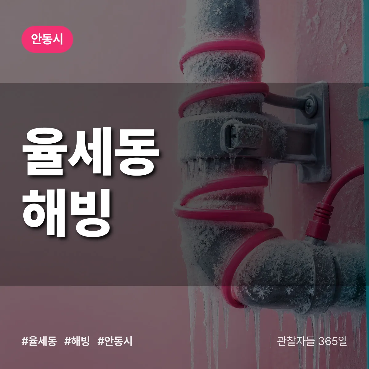 율세동 해빙 배너