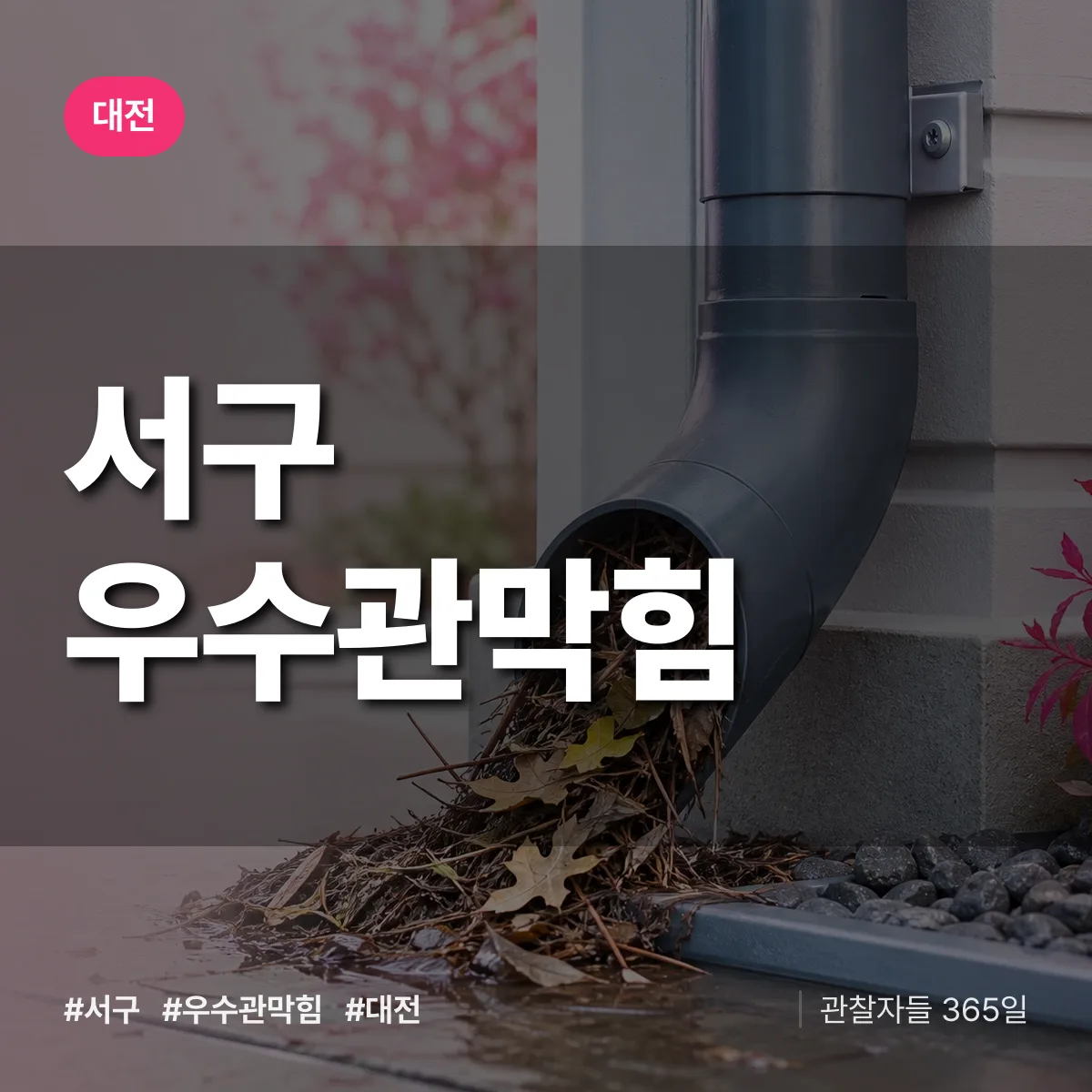 대전 서구 우수관막힘 상담 배너