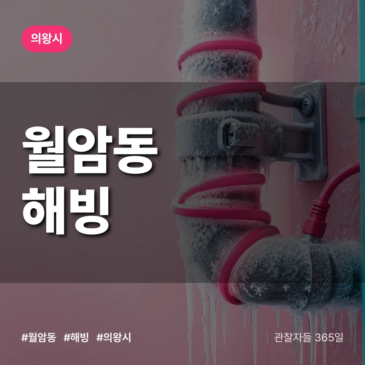 월암동 해빙 배너