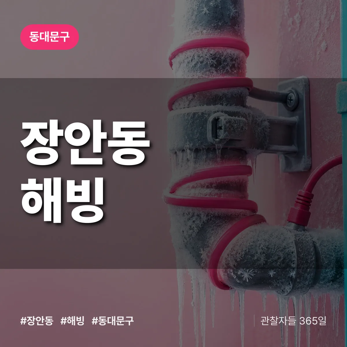장안동 해빙 배너