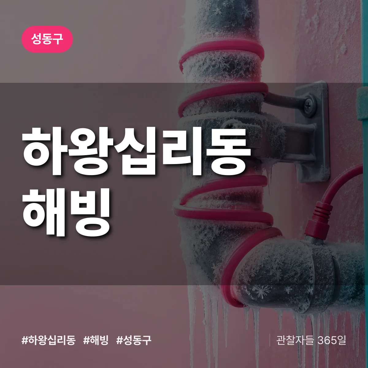 하왕십리동 해빙 배너