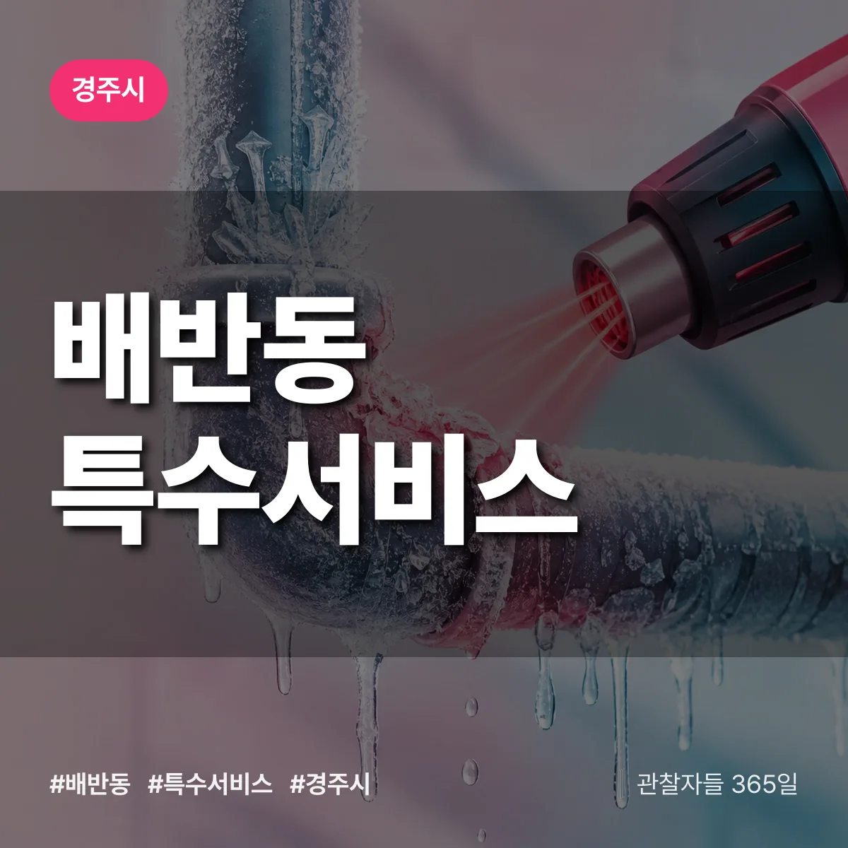 경주시 배반동 특수서비스 상담 배너