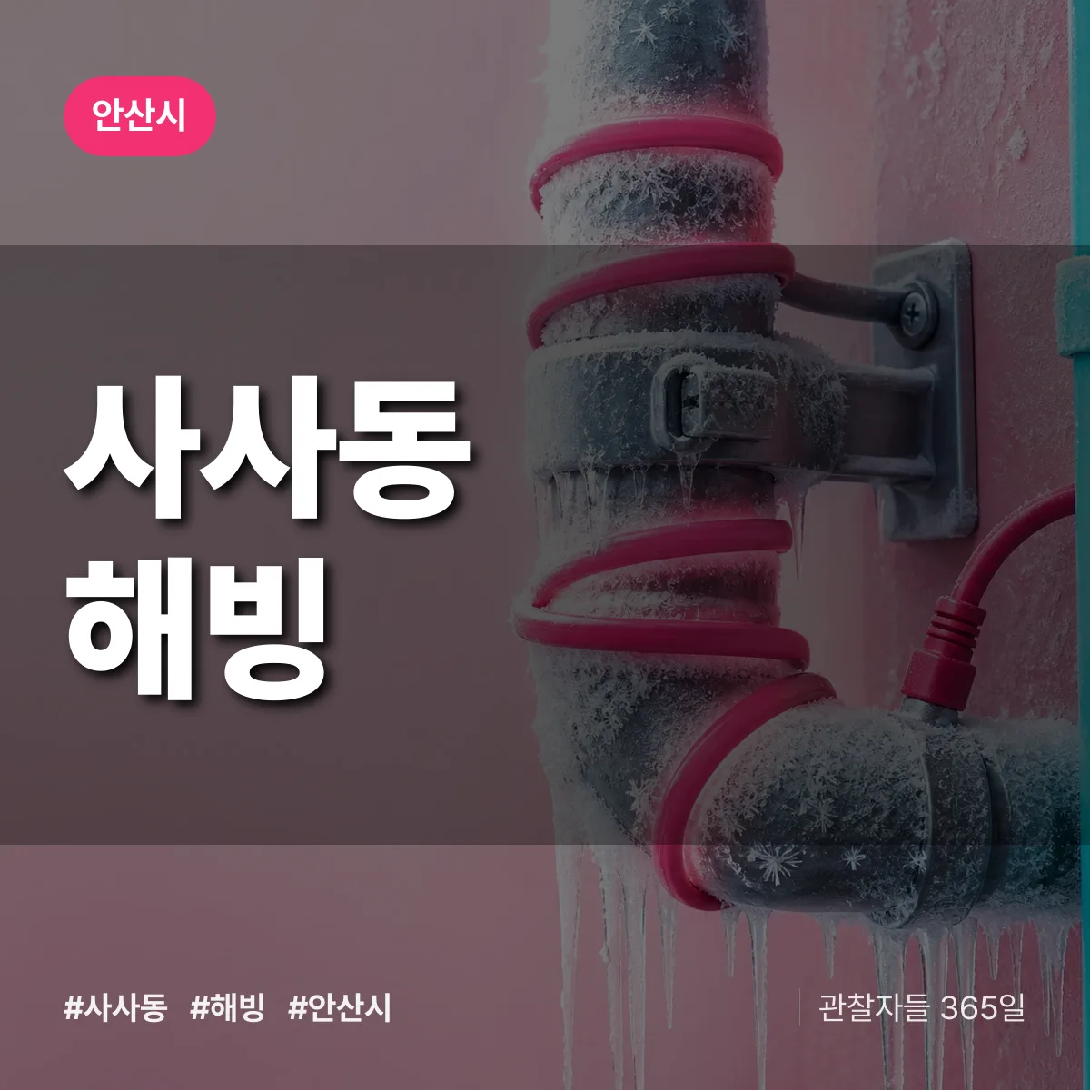 사사동 해빙 배너