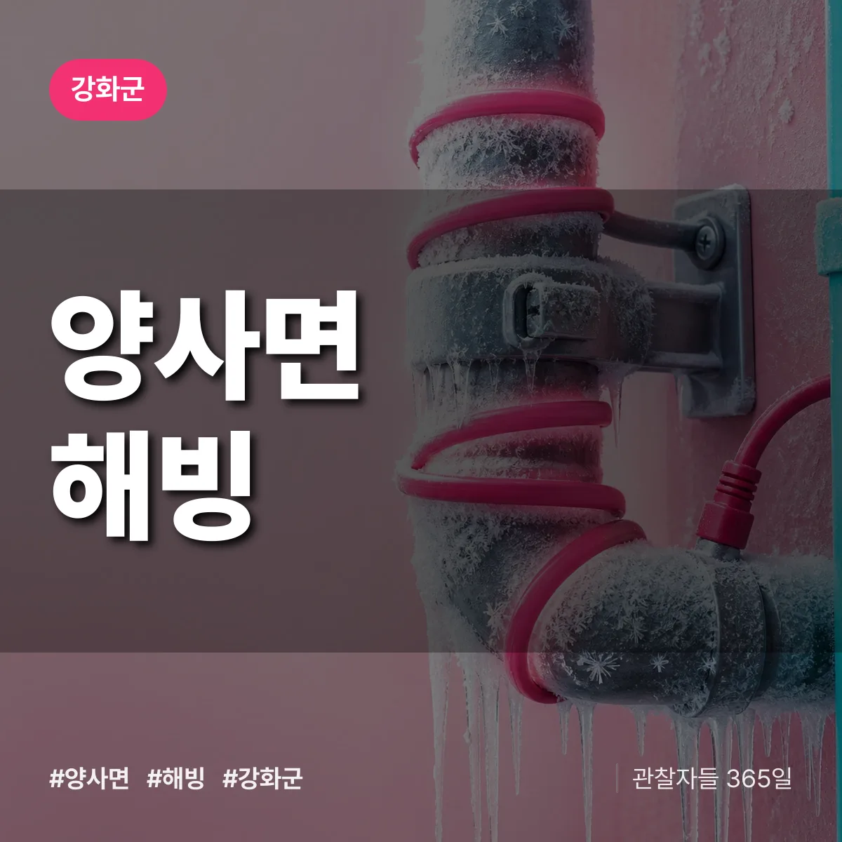 양사면 해빙 배너