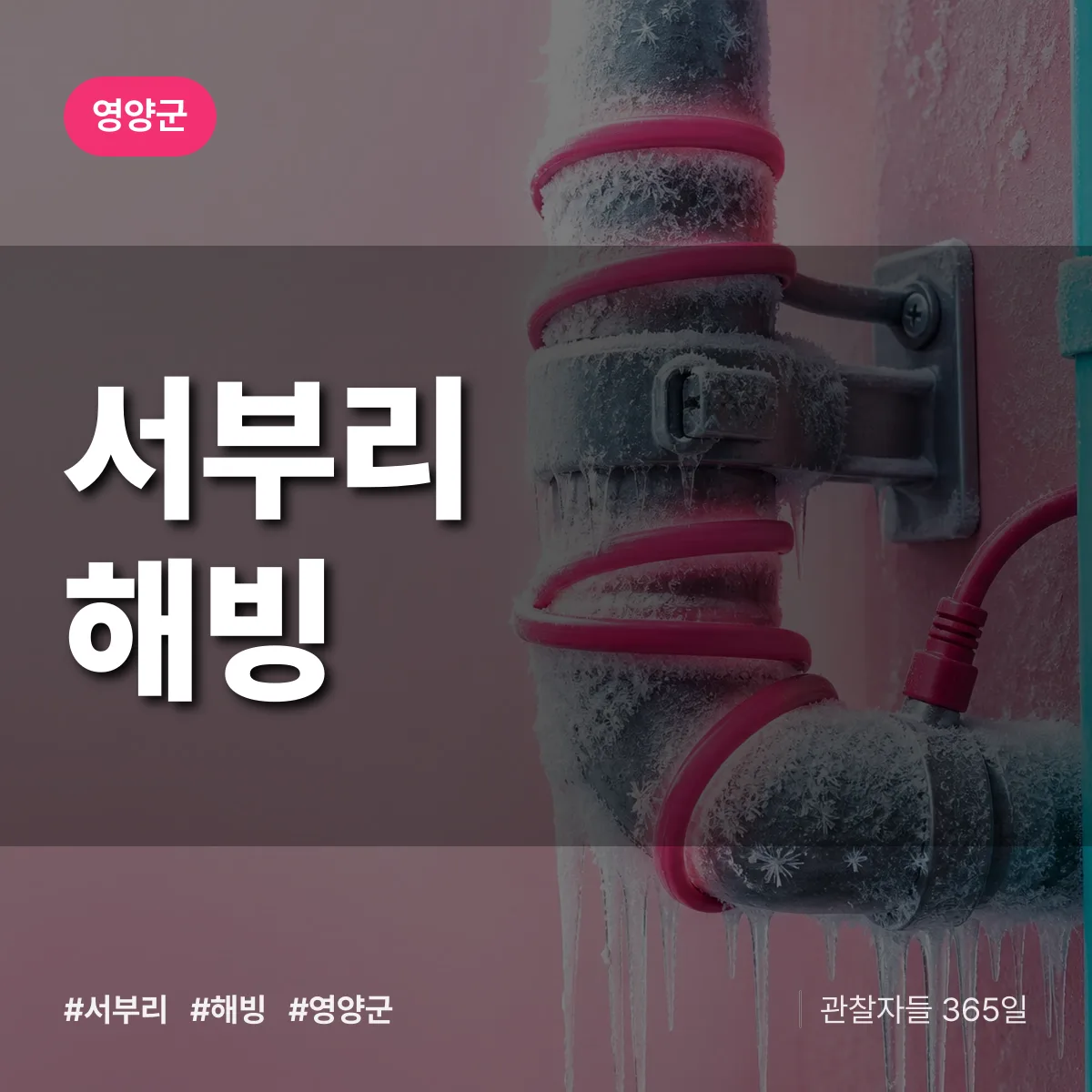 서부리 해빙 배너
