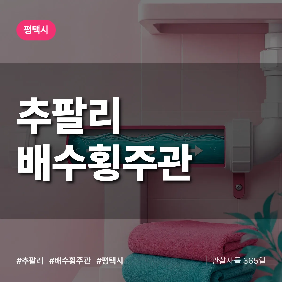 추팔리 배수횡주관 배너