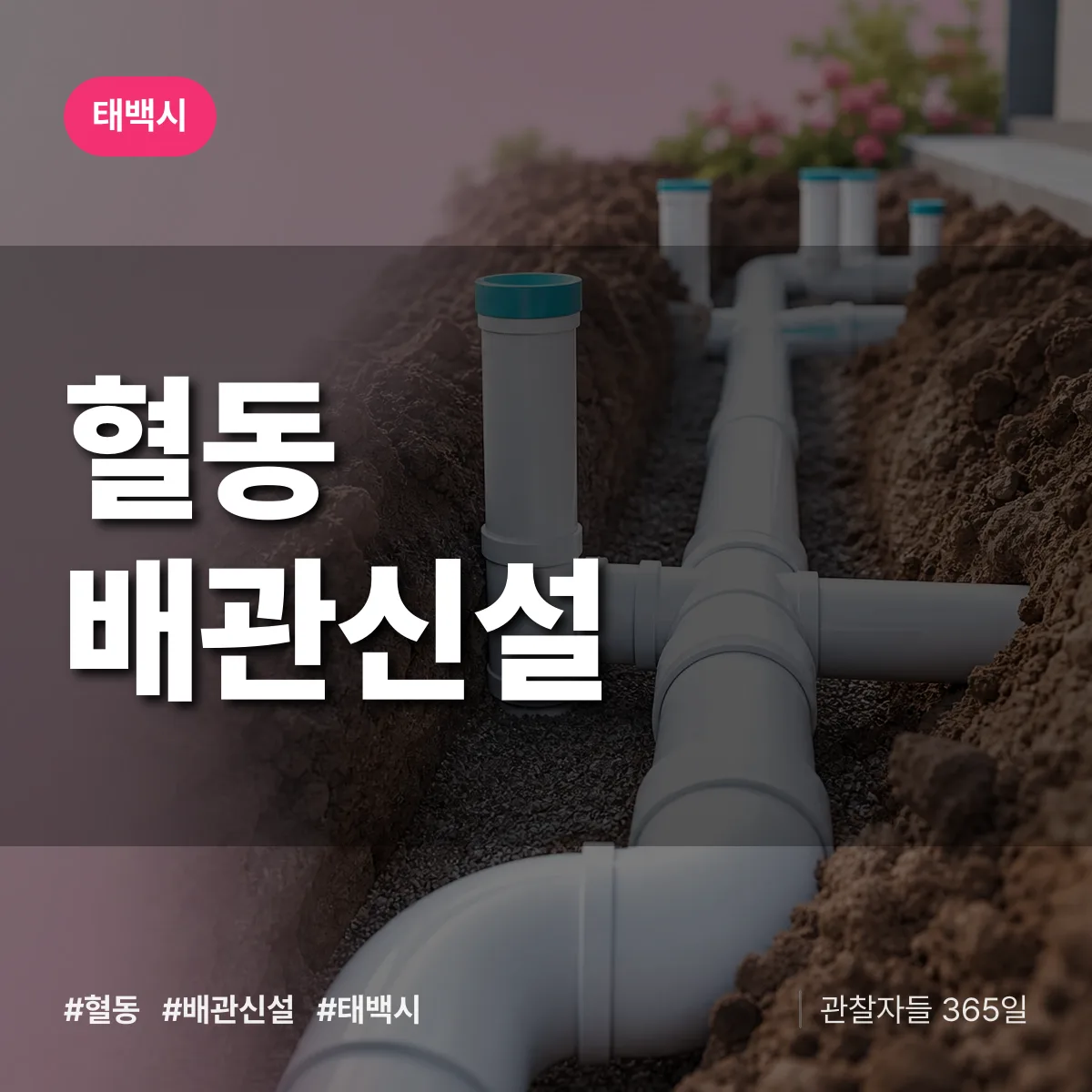 혈동 배관 신설 배너