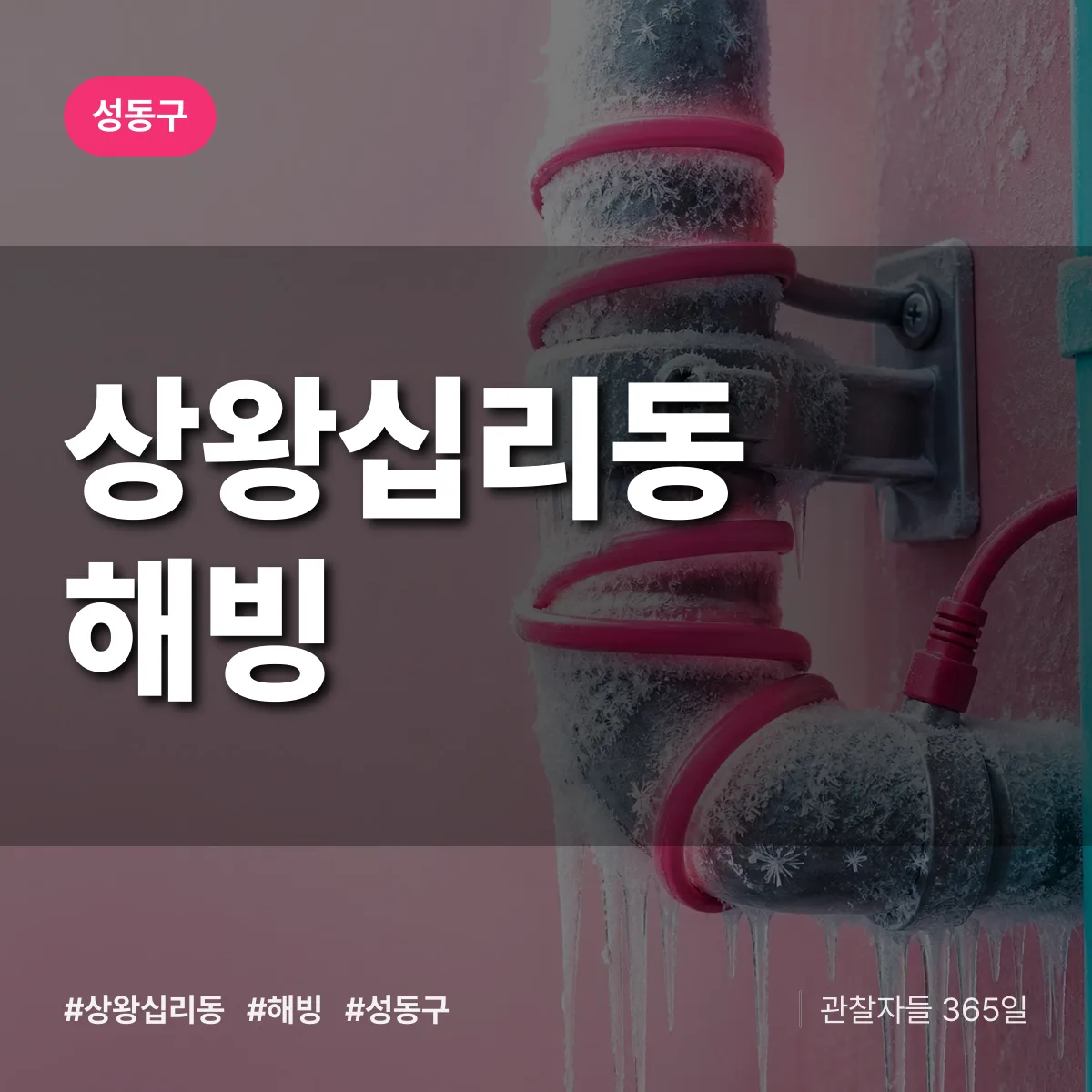 성동구 상왕십리동 해빙 상담 배너