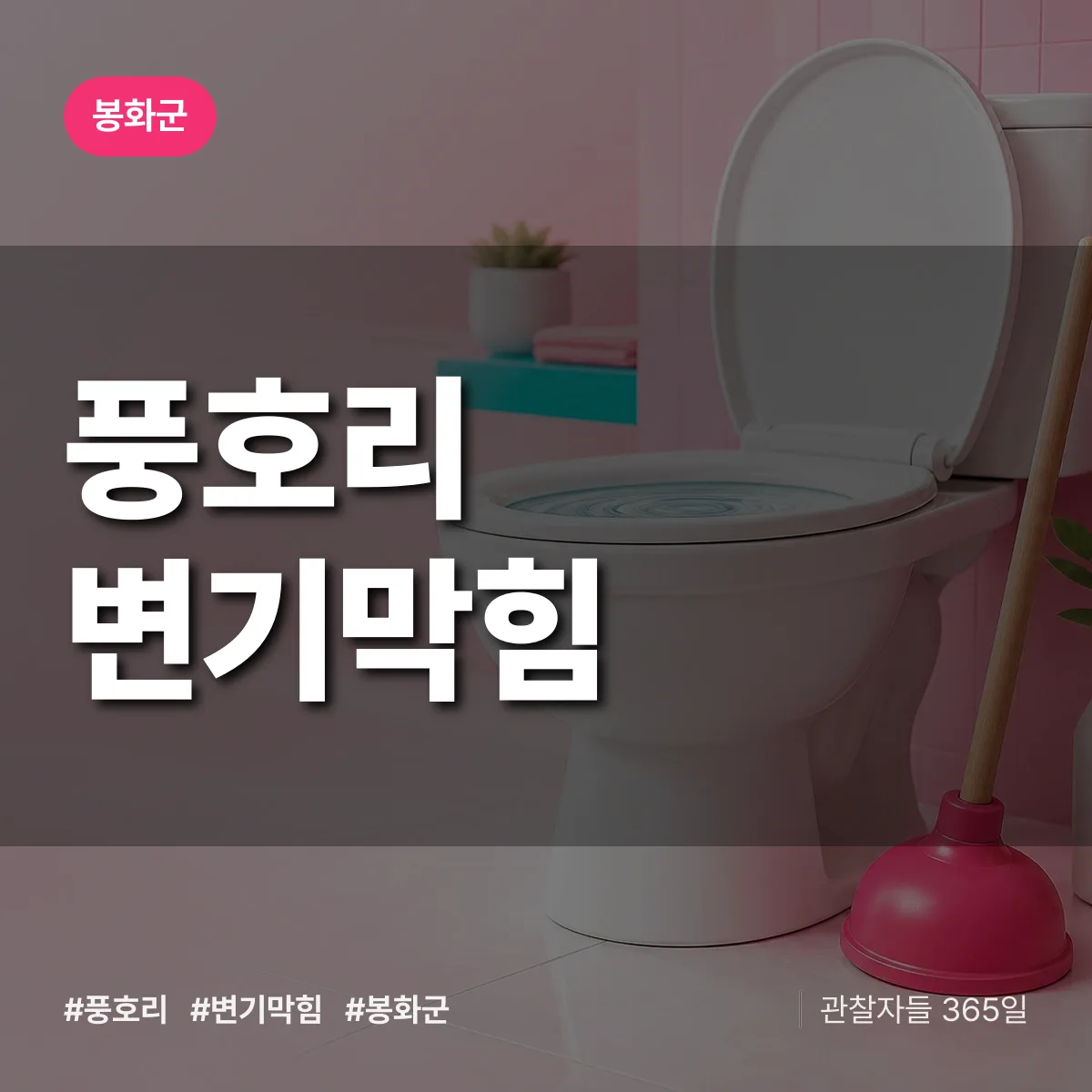 풍호리 변기막힘 배너