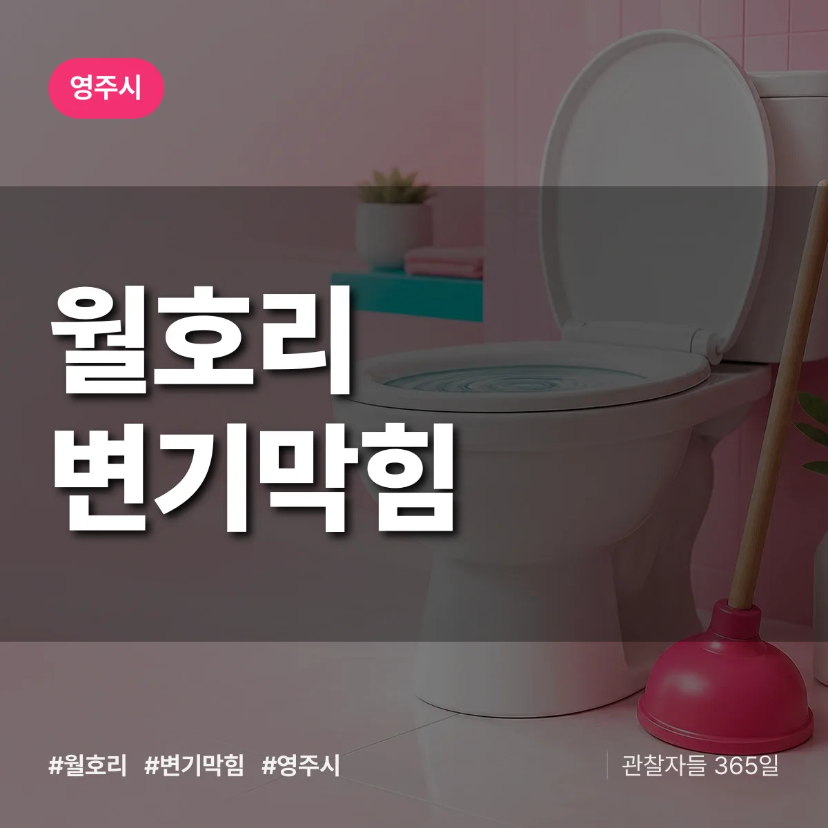 경북 영주시 월호리 변기막힘 배너
