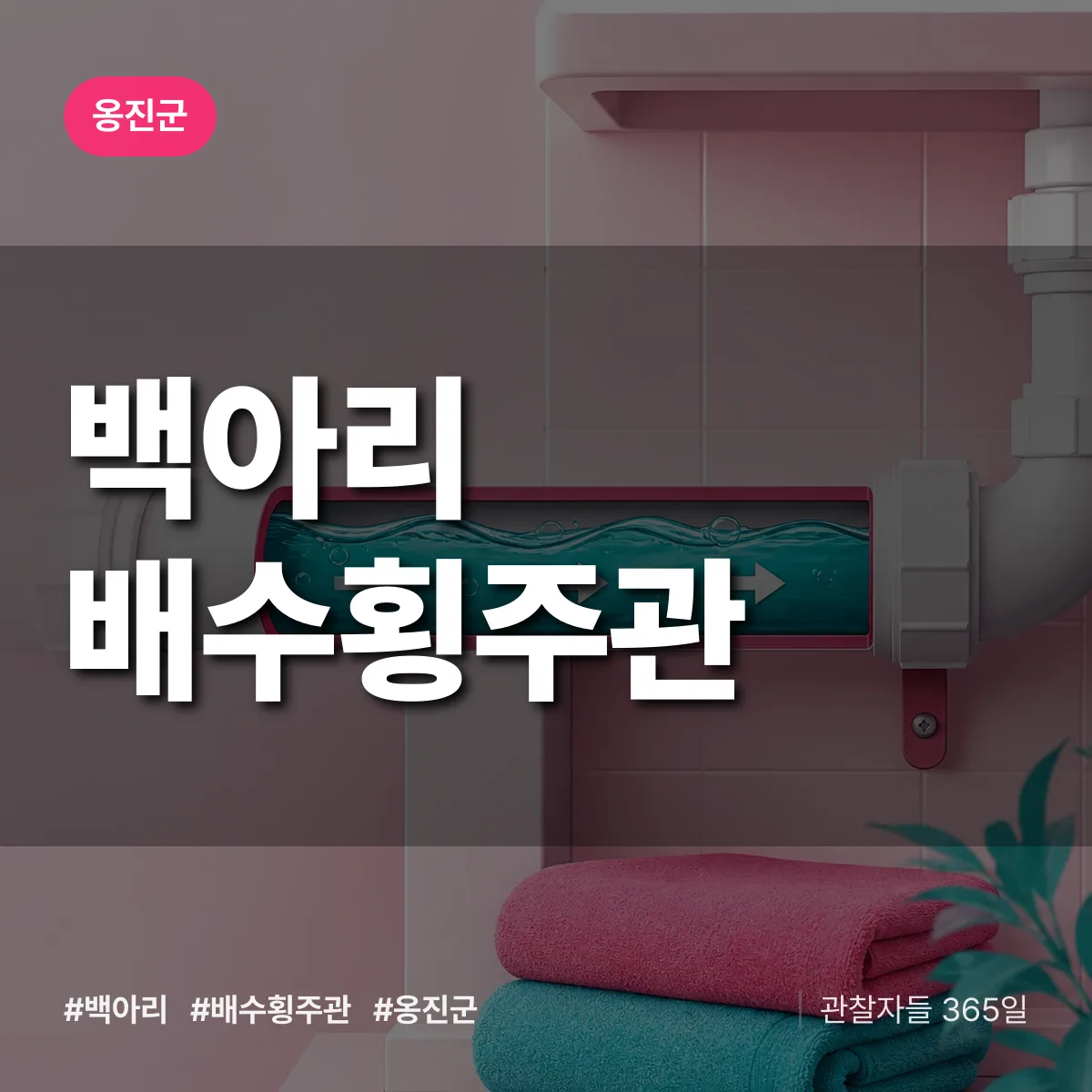 백아리 배수횡주관 배너