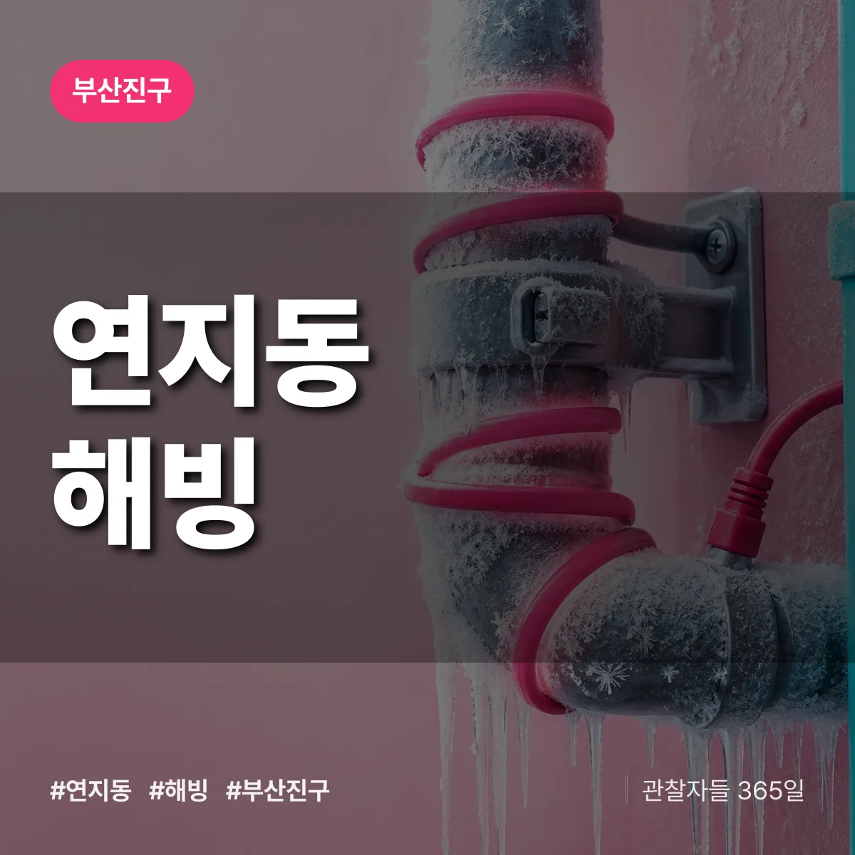부산진구 연지동 해빙 상담 배너