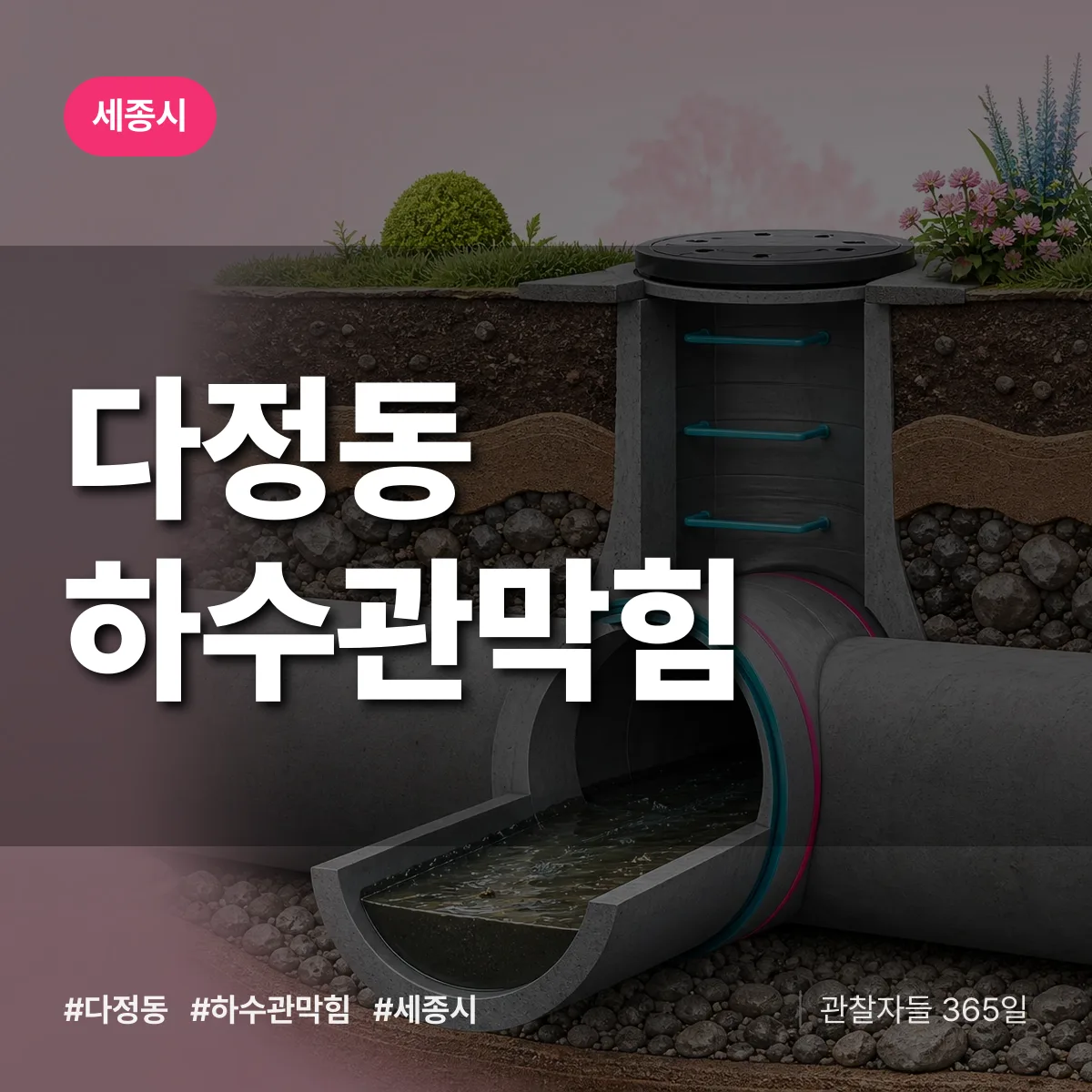 다정동 하수관막힘 배너