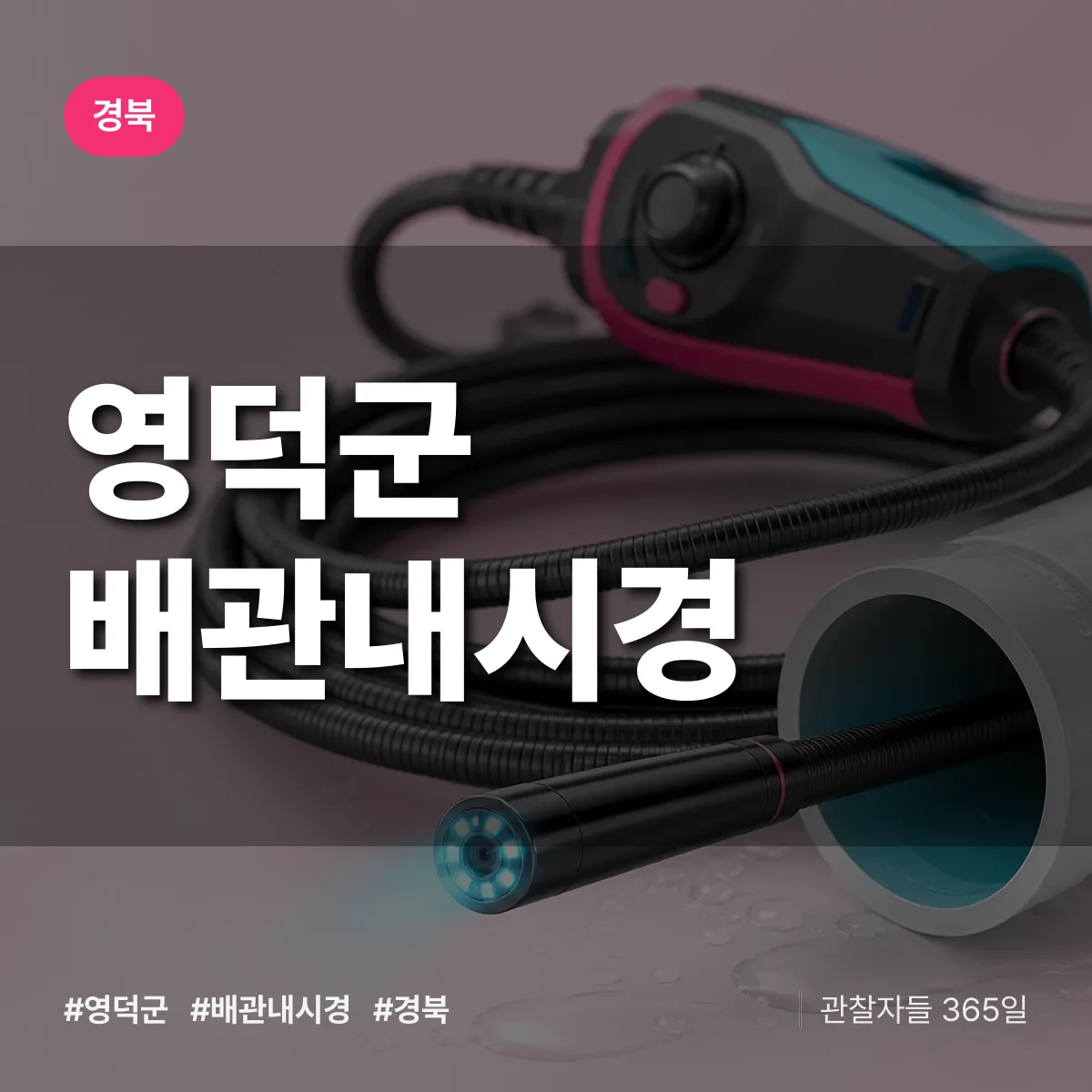 경북 영덕군 배관내시경 상담 배너