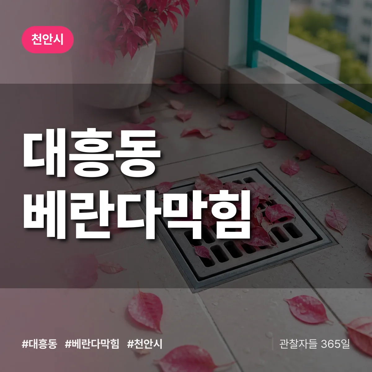 대흥동 베란다막힘 배너