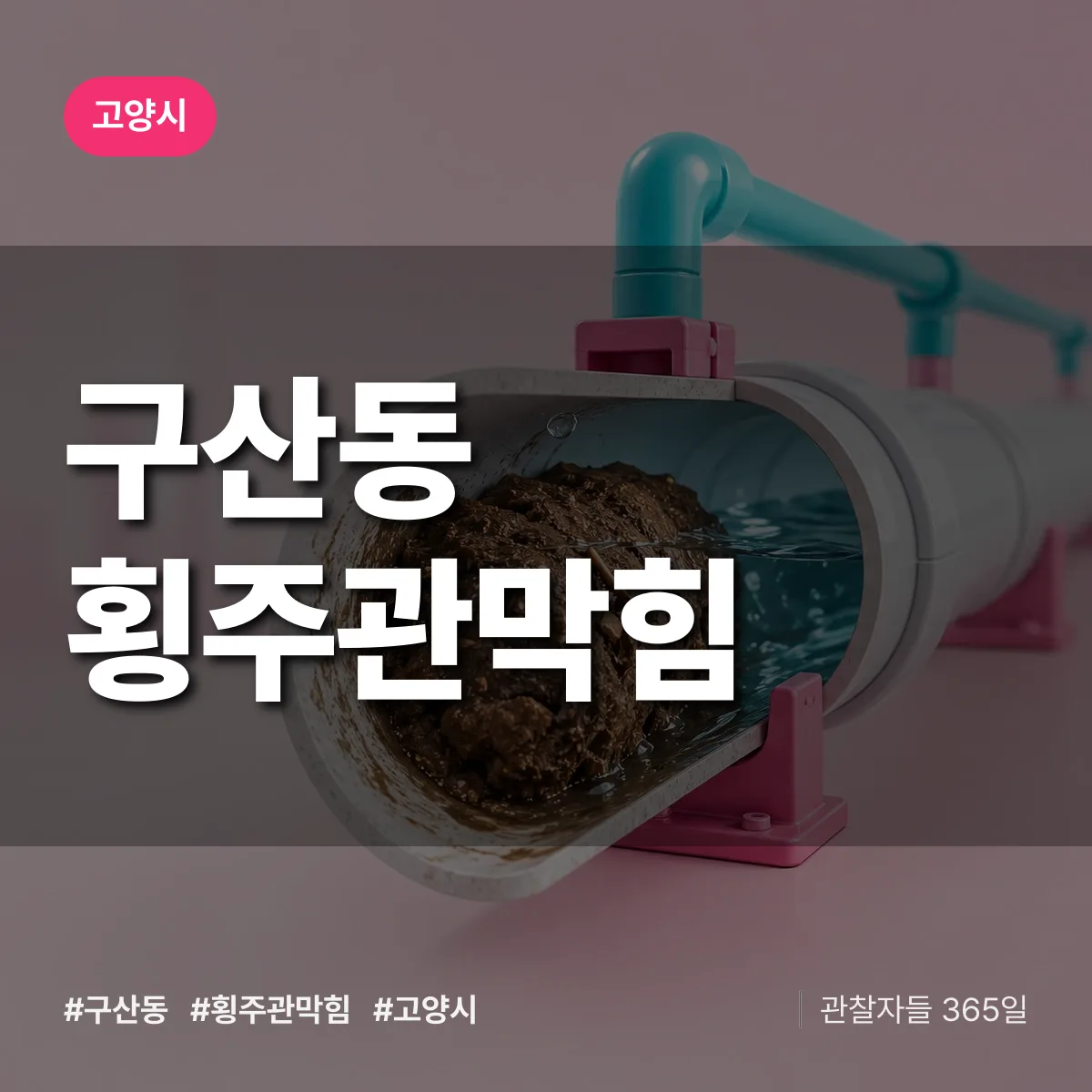 고양시 구산동 횡주관막힘 상담 배너