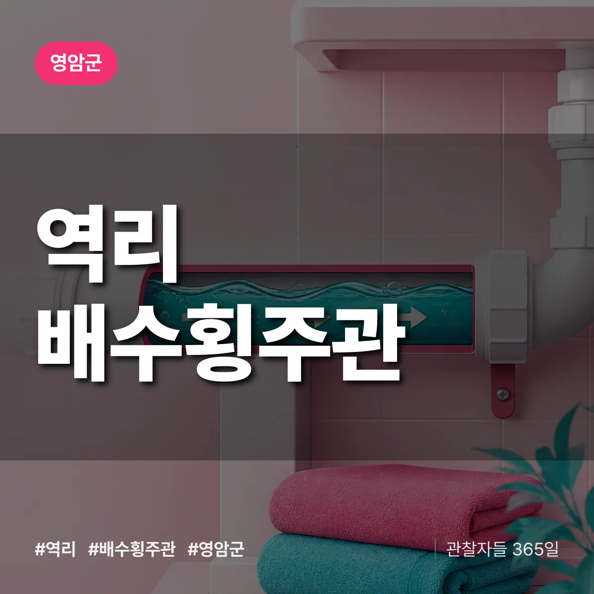 역리 배수횡주관 배너