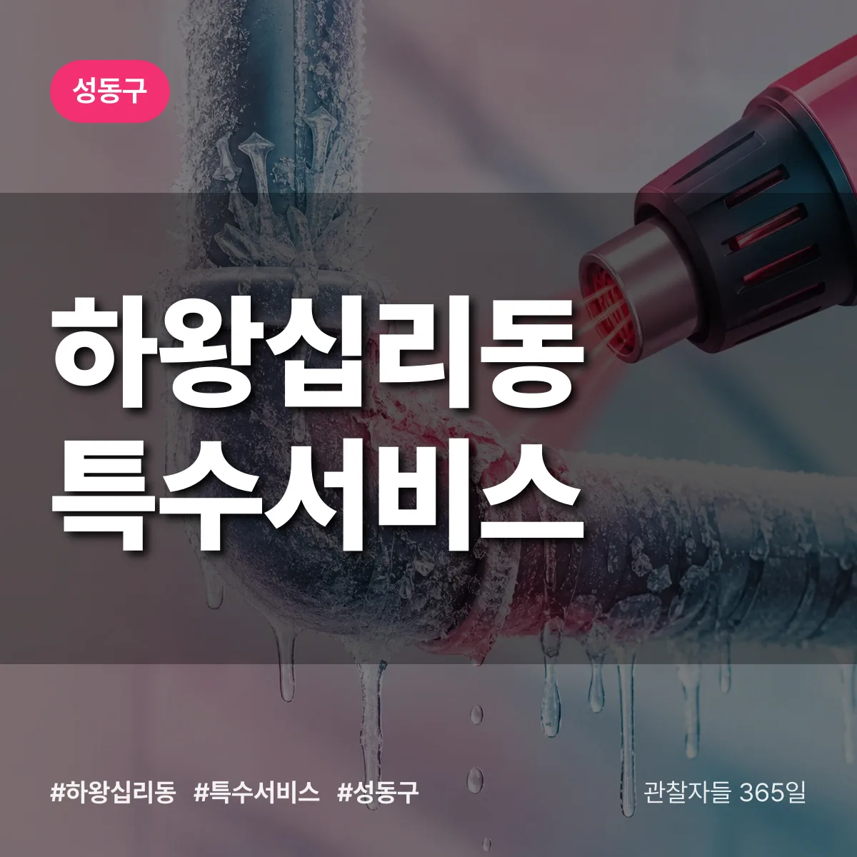 성동구 하왕십리동 특수서비스 상담 배너