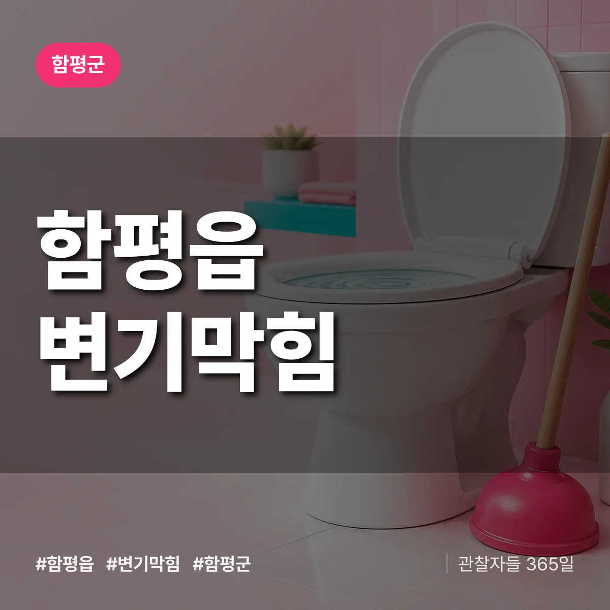 함평읍 변기막힘 배너