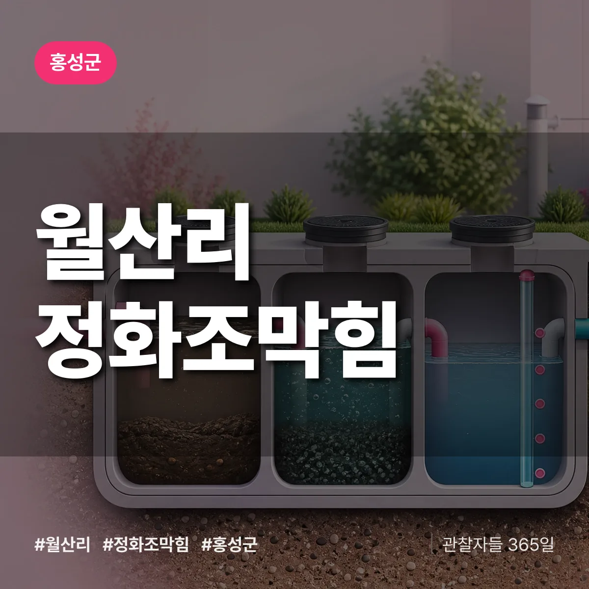 월산리 정화조막힘 배너