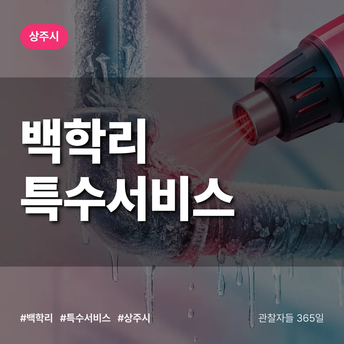 경북 상주시 백학리 특수서비스 배너