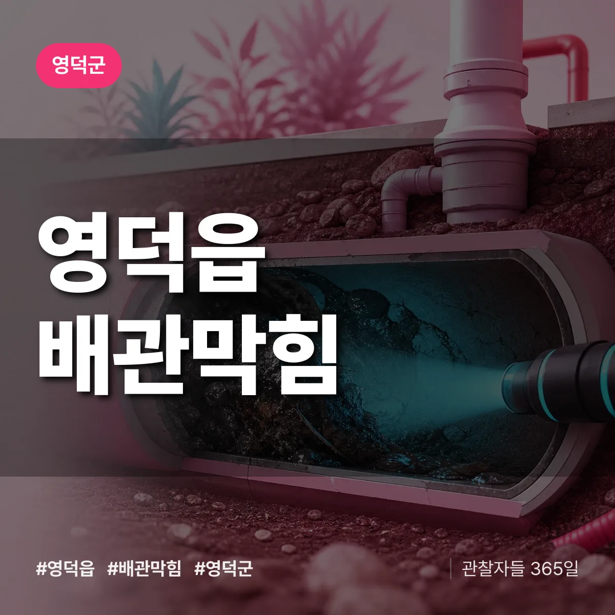 영덕군 영덕읍 배관막힘 상담 배너