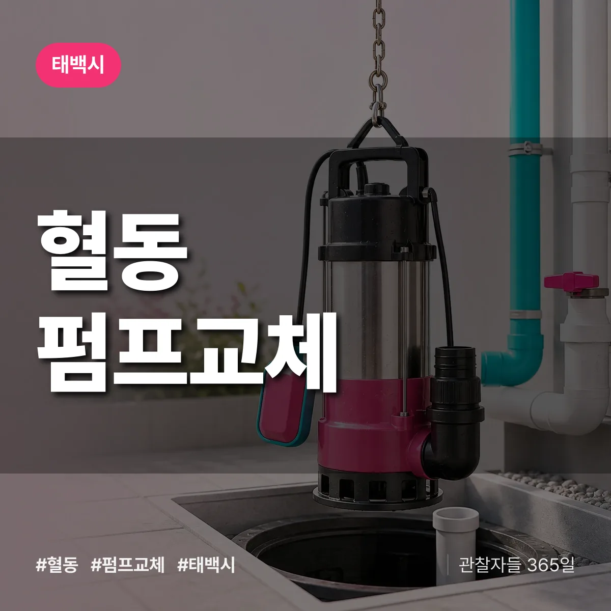 혈동 펌프교체 배너
