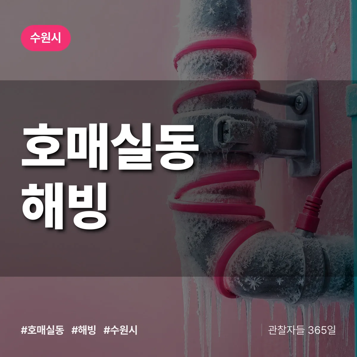 호매실동 해빙 배너