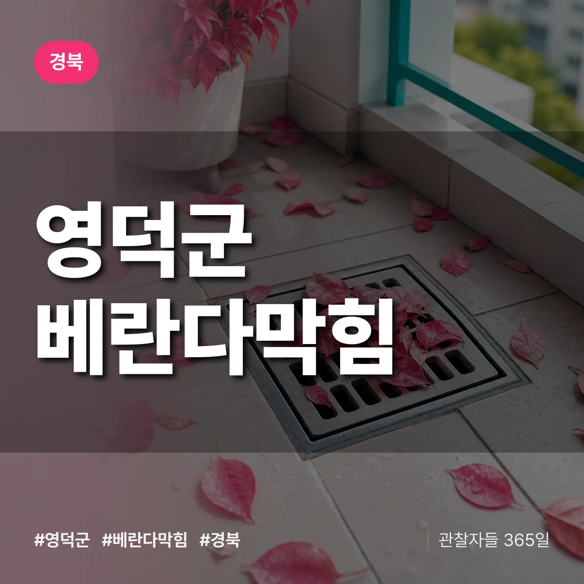 경북 영덕군 베란다막힘 배너