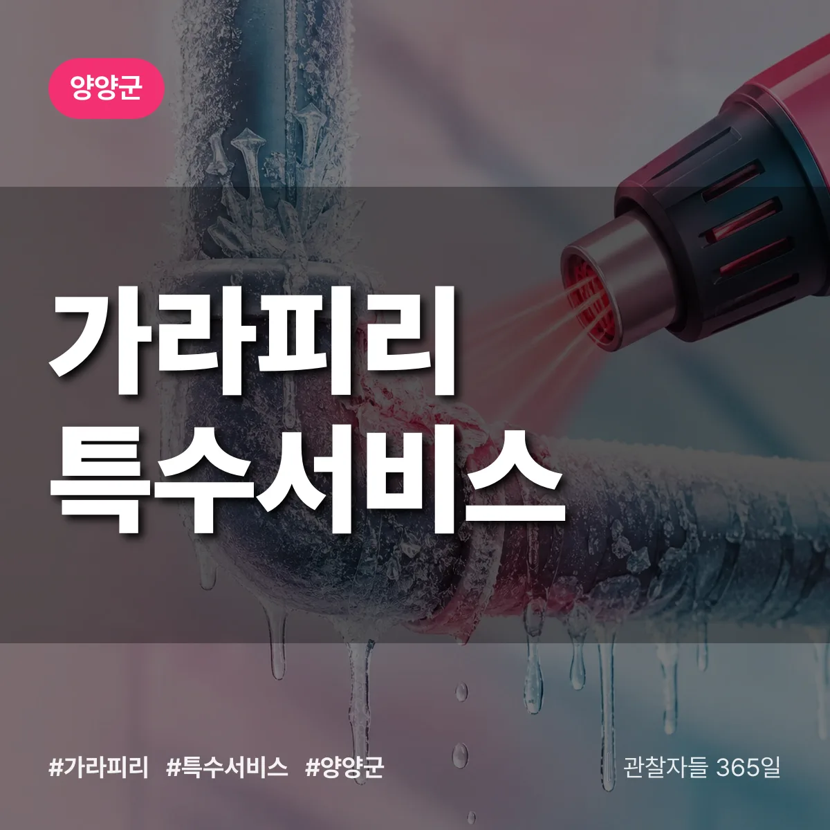 양양군 가라피리 특수서비스 상담 배너