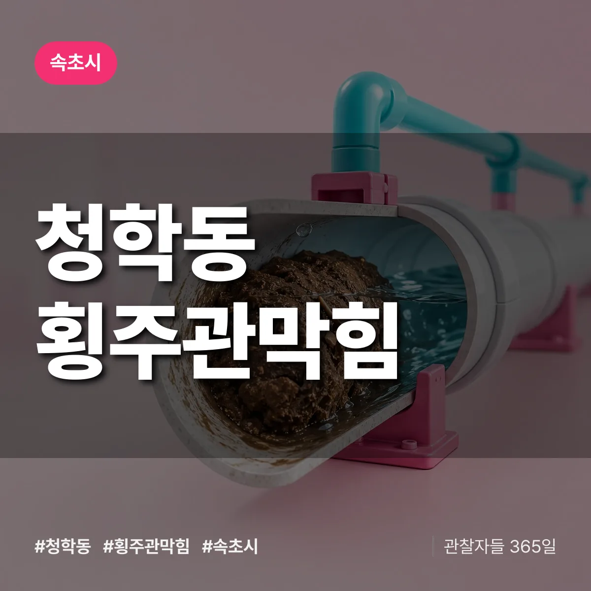 청학동 횡주관막힘 배너