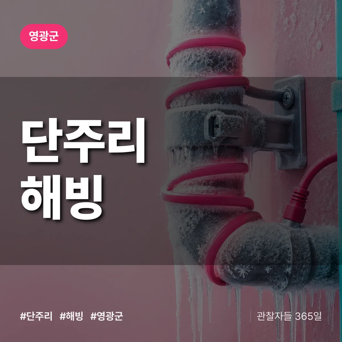 단주리 해빙 배너