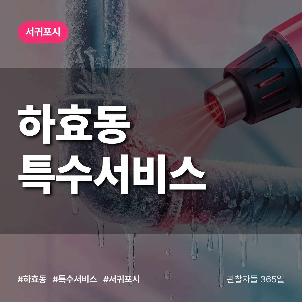 서귀포시 하효동 특수서비스 상담 배너