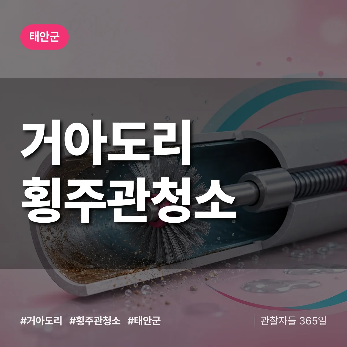 거아도리 횡주관청소 배너