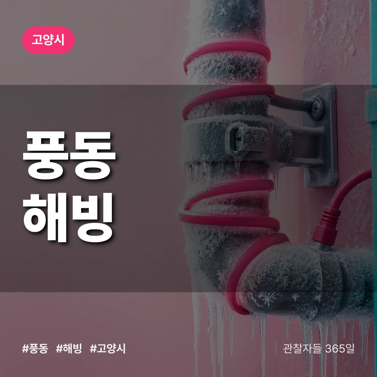 풍동 해빙 배너