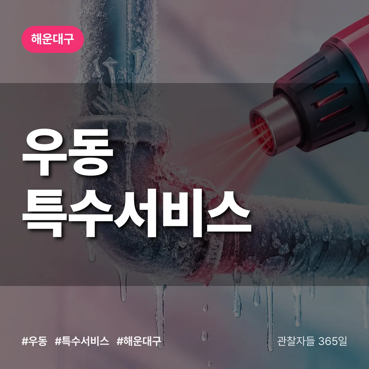 해운대구 우동 특수서비스 상담 배너