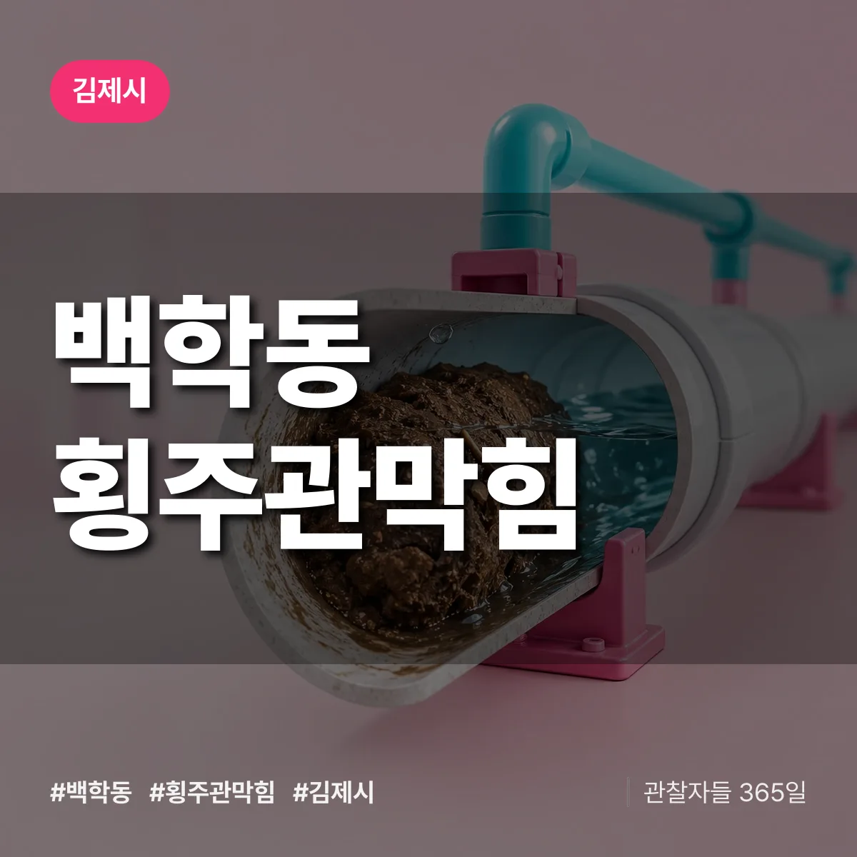 백학동 횡주관막힘 배너