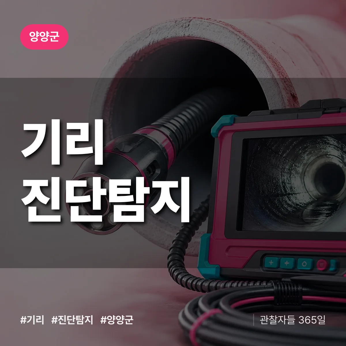 강원 양양군 기리 진단/탐지 배너