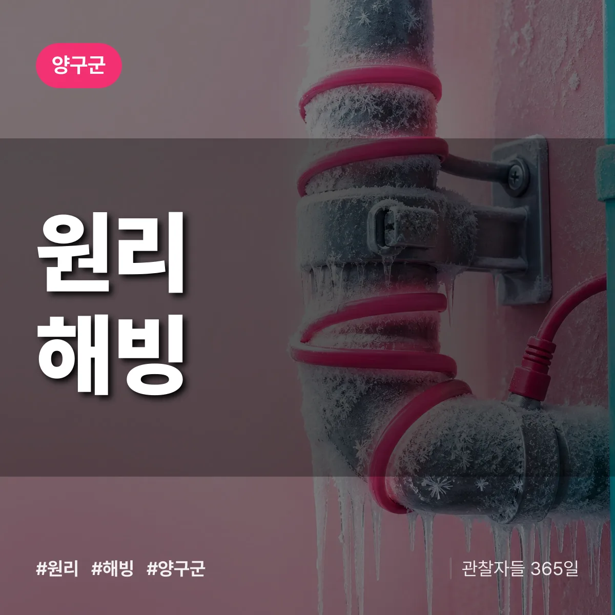 원리 해빙 배너