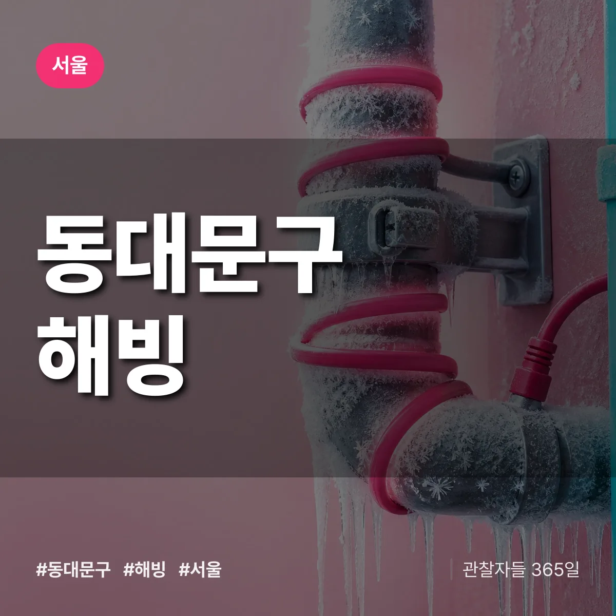 서울 동대문구 해빙 상담 배너