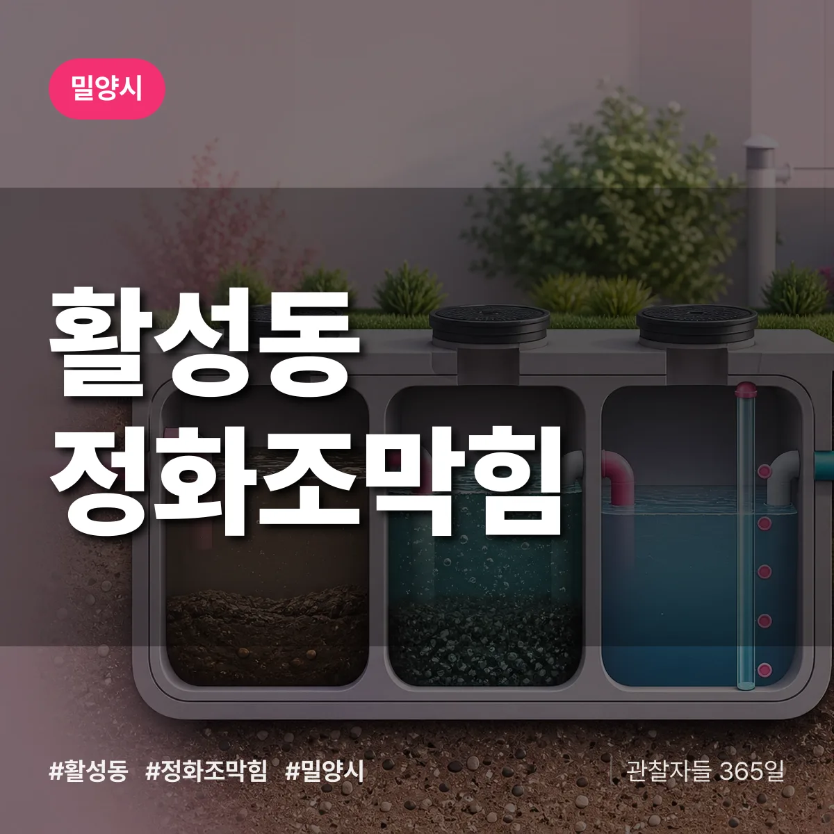 활성동 정화조막힘 배너