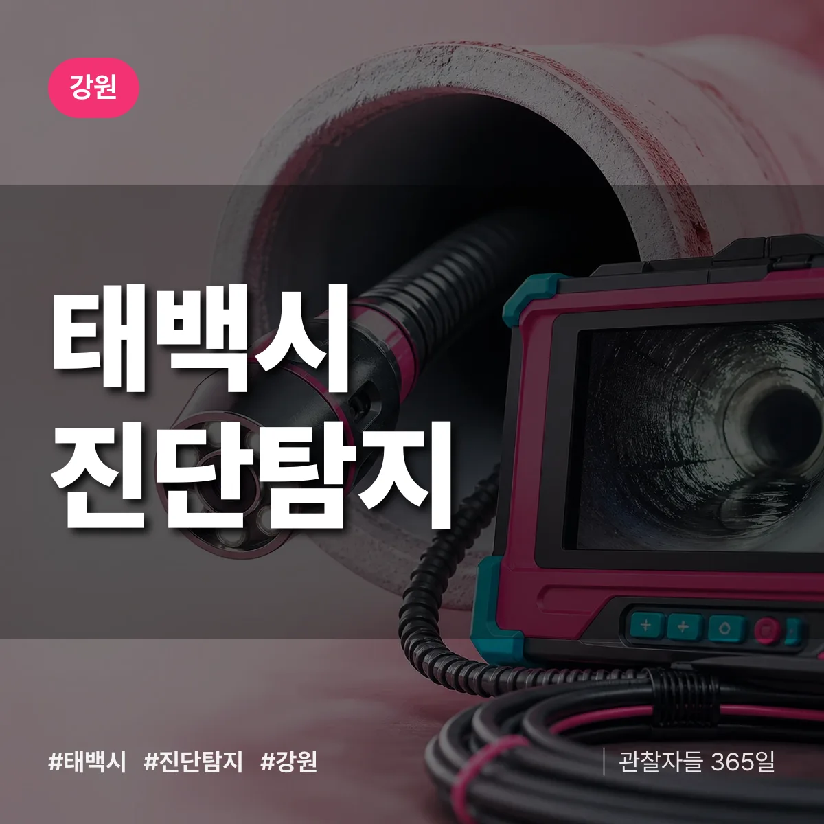강원 태백시 진단/탐지 상담 배너