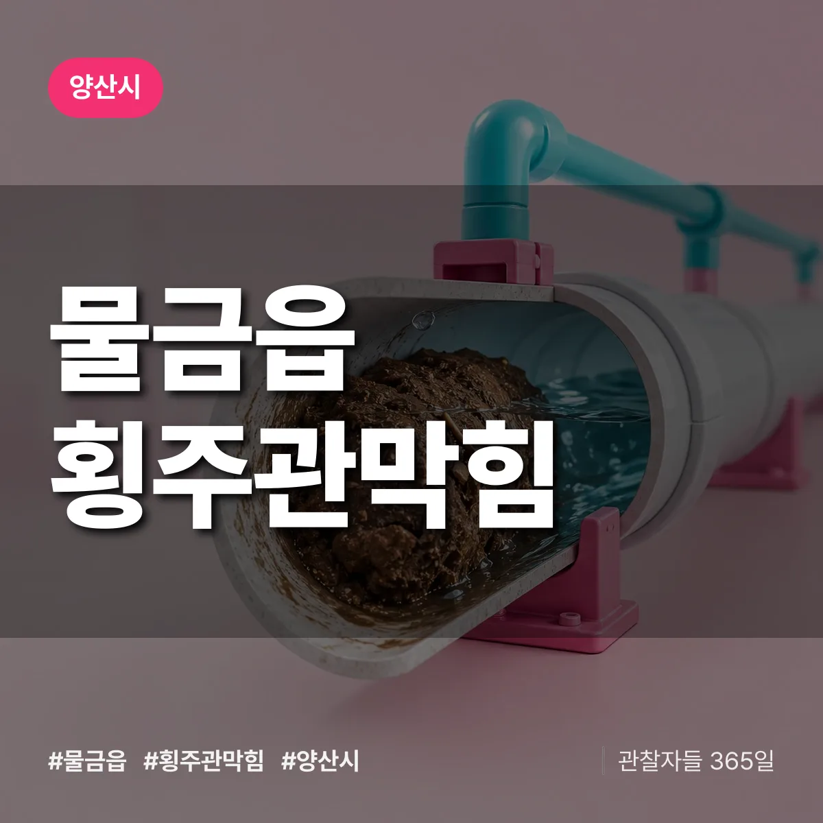 경남 양산시 물금읍 횡주관막힘 배너