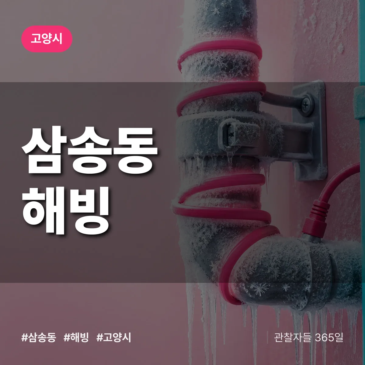 삼송동 해빙 배너