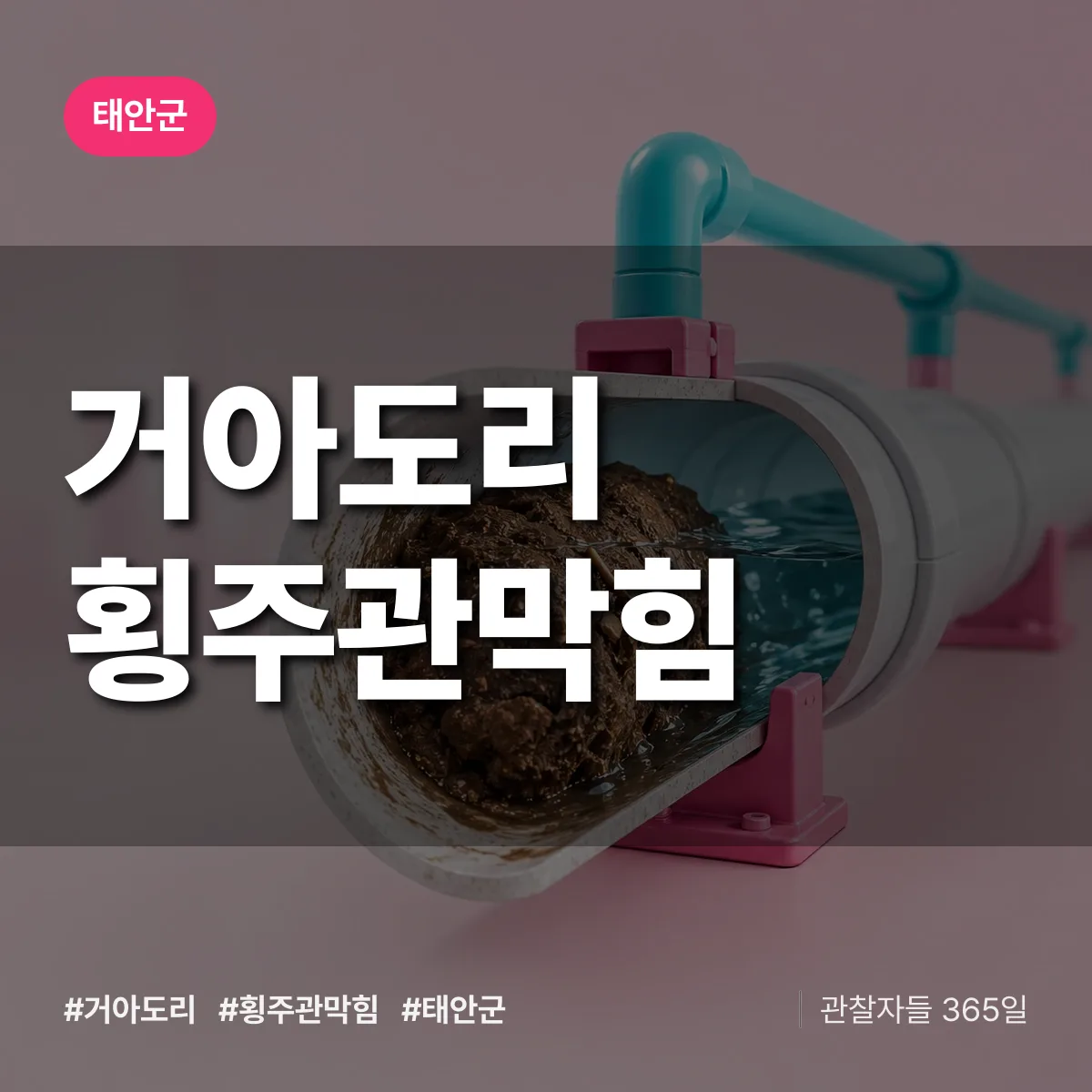 거아도리 횡주관막힘 배너
