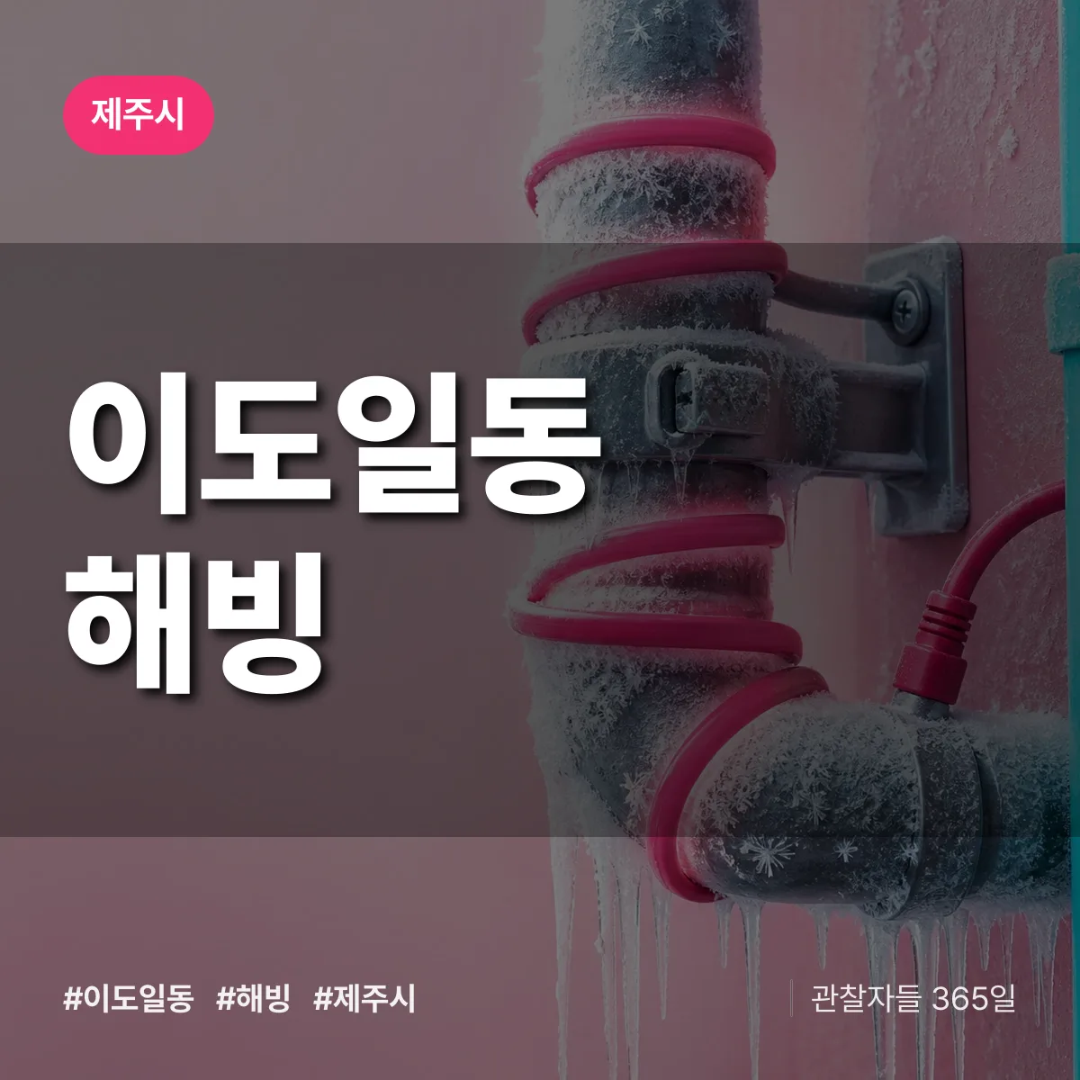 이도일동 해빙 배너