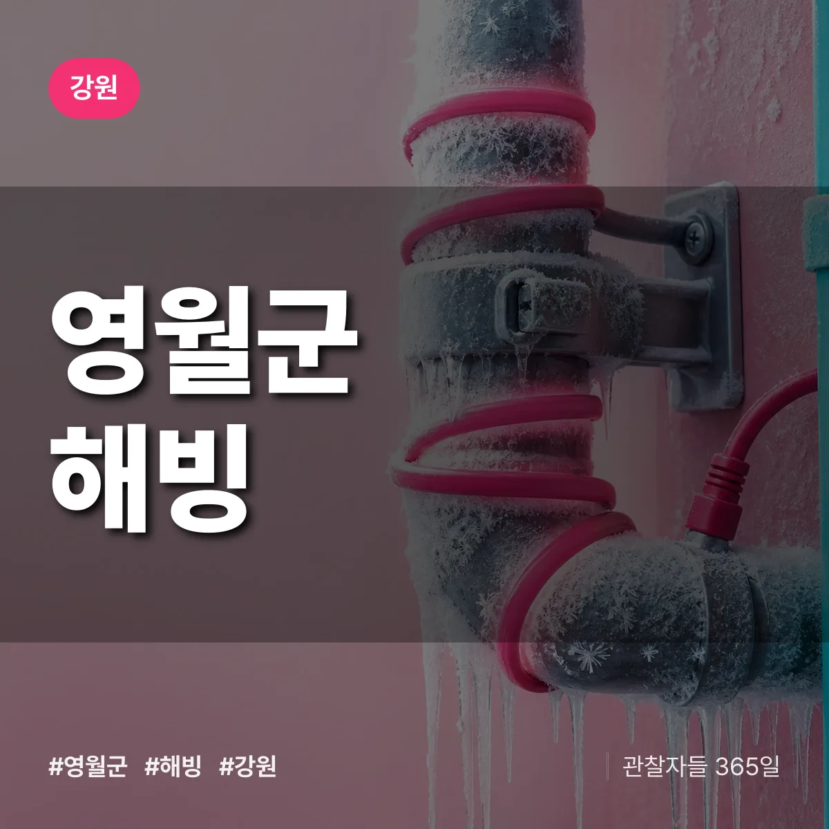 강원 영월군 해빙 배너