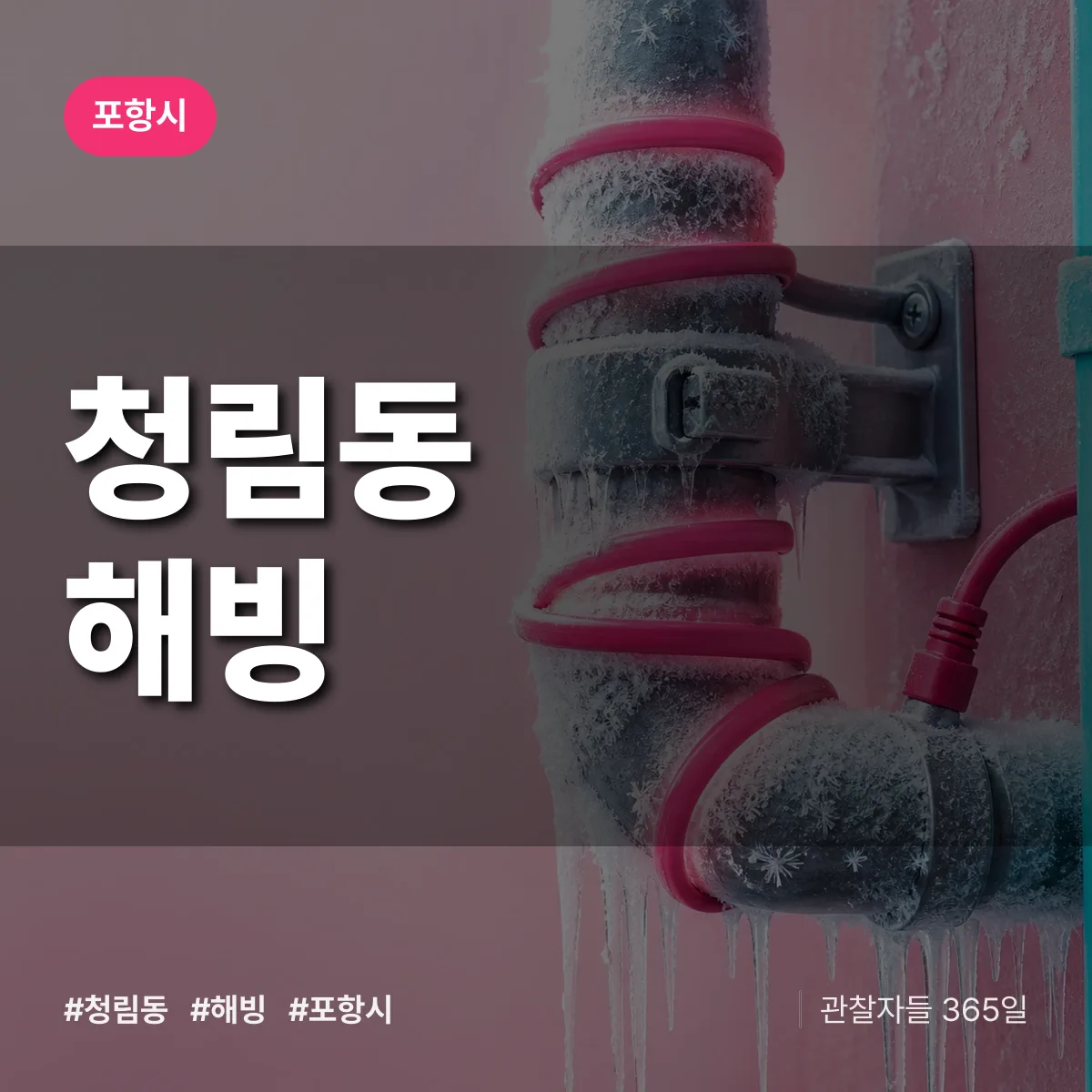 청림동 해빙 배너