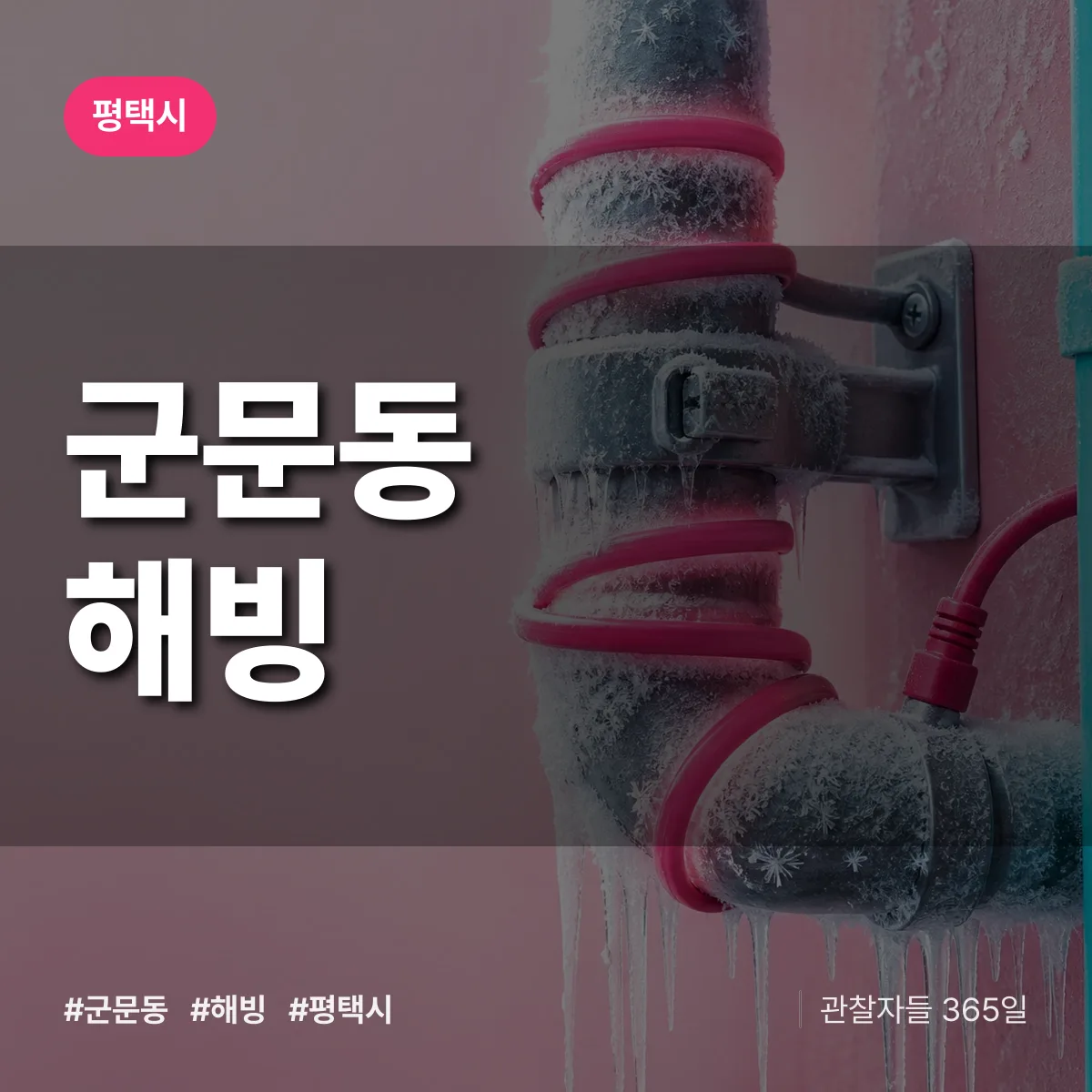 군문동 해빙 배너