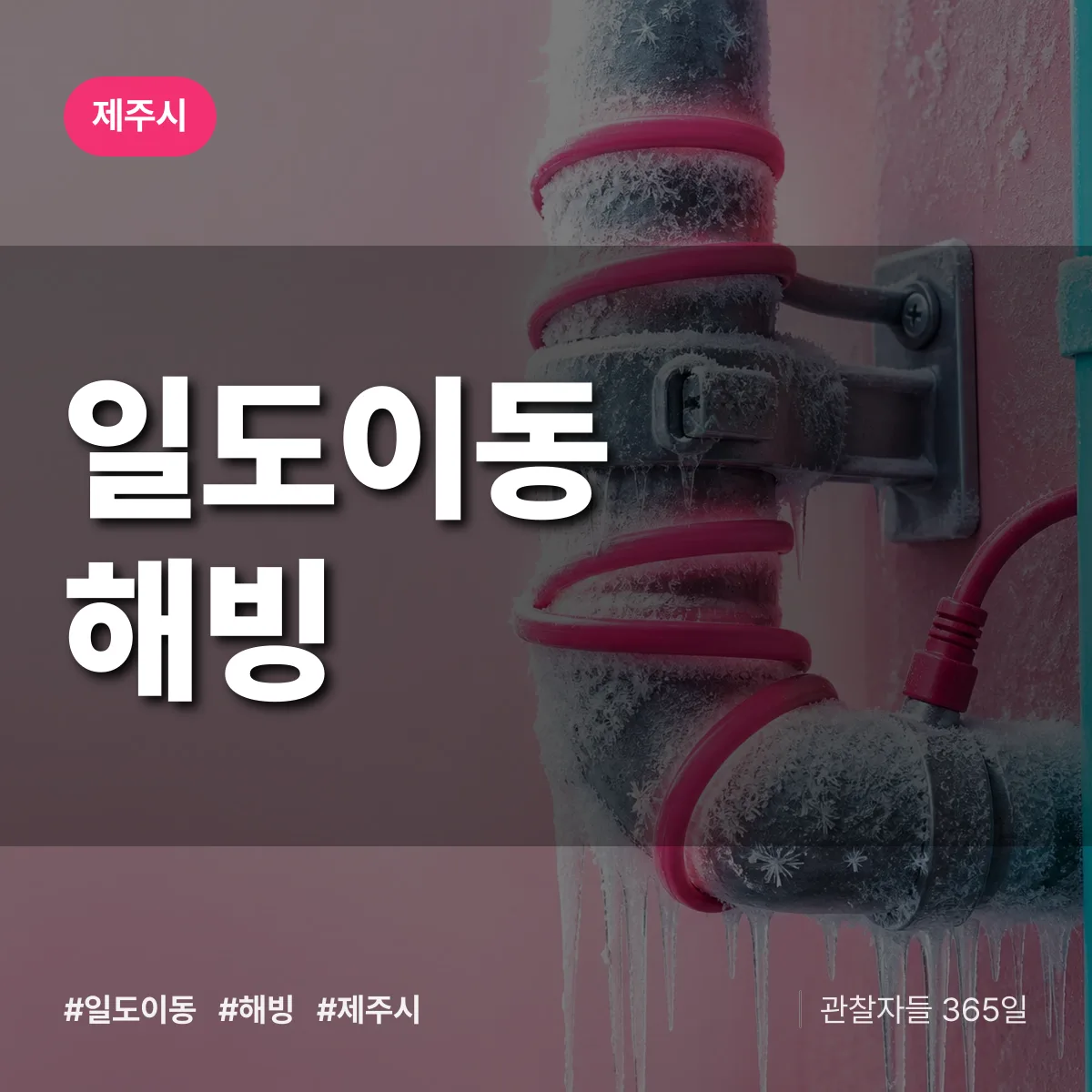 일도이동 해빙 배너